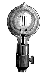 lampadina