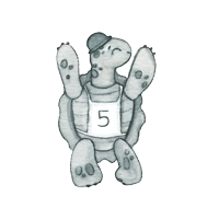 tartaruga